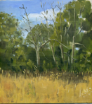 Summer Hedgerow, oil, 24x24 cm.